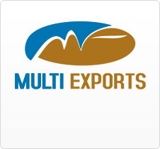 Multi Experts